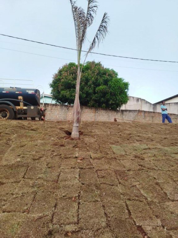 Registro: Recuperação quadra de areia e recomposição de talude com jardinagem - Conjunto Alvorada
